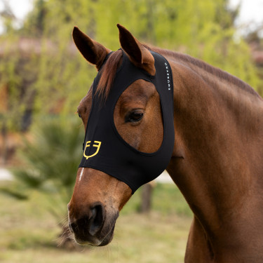 Máscara anti-moscas Equestro de elastano sin orejas malla para ojos Negro Máscara anti-moscas Equestro de elastano sin orejas malla para ojos Negro