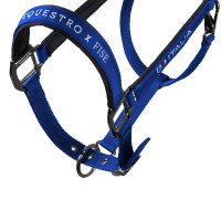 Cabezadas Equestro x FISE acolchadas y ajustables Azul de Savoie