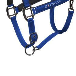 Cabezadas Equestro x FISE acolchadas y ajustables Azul de Savoie