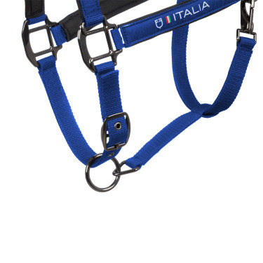 Cabezadas Equestro x FISE acolchadas y ajustables Azul de Savoie