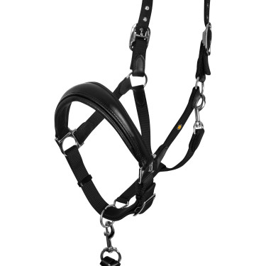 Cabezada ergonómica Equestro con inserciones de cuero Negro / negro