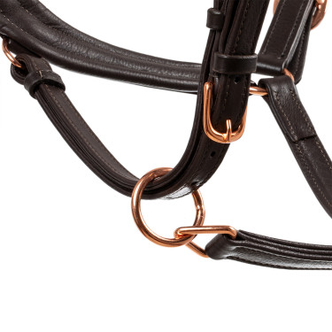 Cabezada de cuero liso Equestro con hebillas rose gold Marrón oscuro Marr&amp;amp;amp;oacute;n