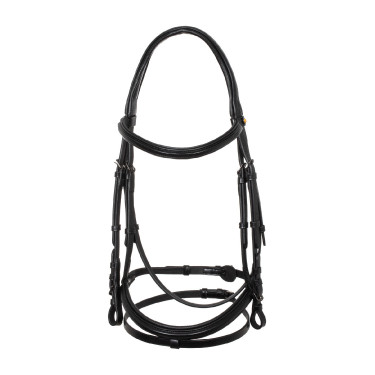Brida anatómica Equestro de cuero Negro