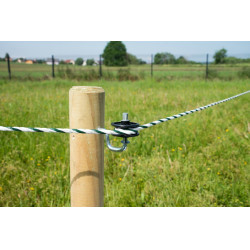 Aislador de equina par hilo y cordon Beaumont Aislador de equina par hilo y cordon Beaumont