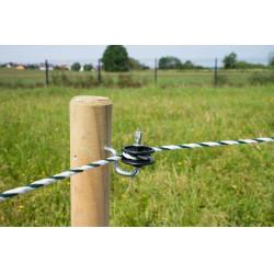 Aislador de equina par hilo y cordon Beaumont Aislador de equina par hilo y cordon Beaumont