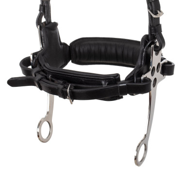 Brida hackamore Supreme Negro Brida hackamore Supreme Negro