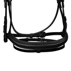 Brida de equitación Equestro Softy Cover anatómica Brida de equitación Equestro Softy Cover anatómica