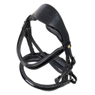 Brida Equestro curvada con forma frontal Negro