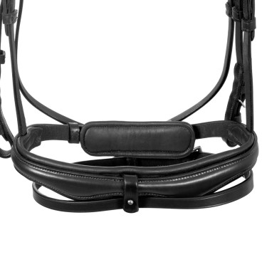 Brida Equestro con muserola simple y testera ancha y curvada Negro