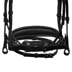 Brida de doma Equestro Diamond de cuero Negro