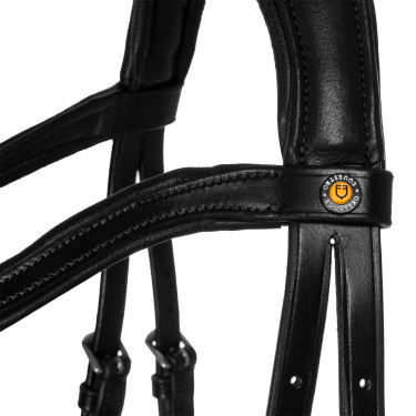 Brida Comfitec Equestro anatómica de cuero Negro