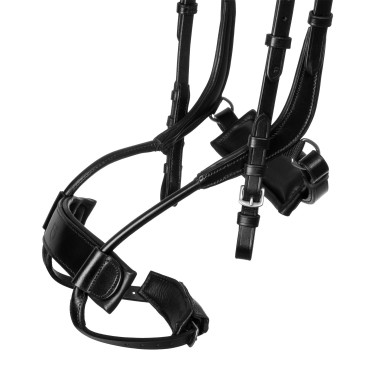 Brida Comfitec Equestro anatómica de cuero Negro