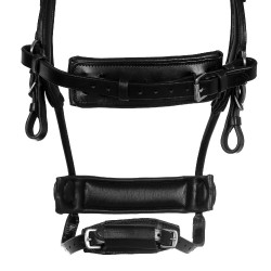 Brida Comfitec Equestro anatómica de cuero Negro