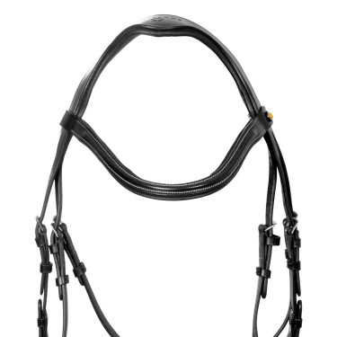 Brida anatómica Equestro con muserola curvada Negro