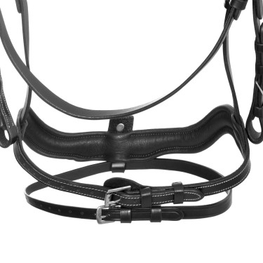 Brida anatómica Equestro con muserola curvada Negro