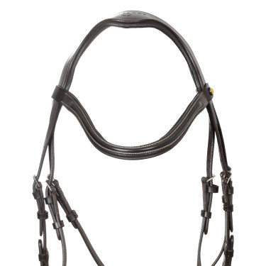 Brida anatómica de equitación Equestro con muserola curvada