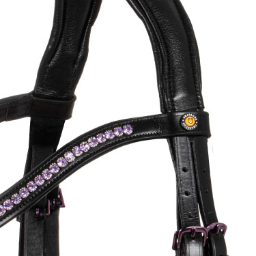 Brida anatómica Equestro de cuero Negro Brida anatómica Equestro de cuero Negro