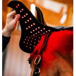 Capucha de terapia con luz roja LED Horseware Negro / negro Capucha de terapia con luz roja LED Horseware Negro / negro