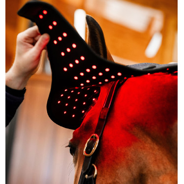 Capucha de terapia con luz roja LED Horseware Negro / negro Capucha de terapia con luz roja LED Horseware Negro / negro