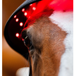 Capucha de terapia con luz roja LED Horseware Negro / negro Capucha de terapia con luz roja LED Horseware Negro / negro