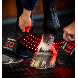 Mini Protector Terapéutico Horseware con Luz Roja LED Negro / negro