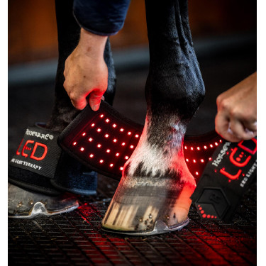 Mini Protector Terapéutico Horseware con Luz Roja LED Negro / negro