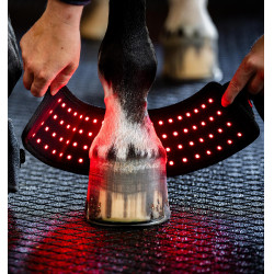 Mini Protector Terapéutico Horseware con Luz Roja LED Negro / negro
