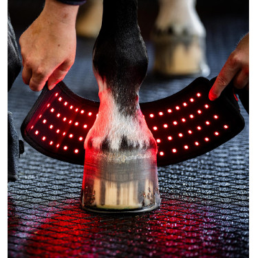 Mini Protector Terapéutico Horseware con Luz Roja LED Negro / negro