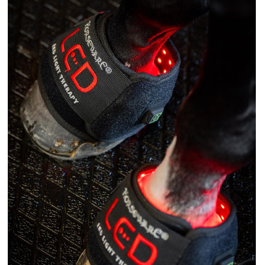 Mini Protector Terapéutico Horseware con Luz Roja LED Negro / negro