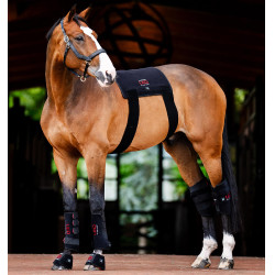 Mini Protector Terapéutico Horseware con Luz Roja LED Negro / negro