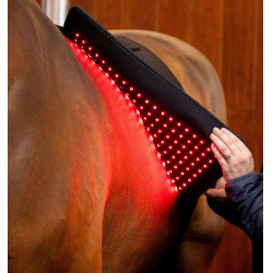 Manta de terapia con luz roja LED Horseware Negro / negro