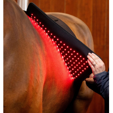Manta de terapia con luz roja LED Horseware Negro / negro