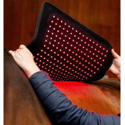 Manta de terapia con luz roja LED Horseware Negro / negro