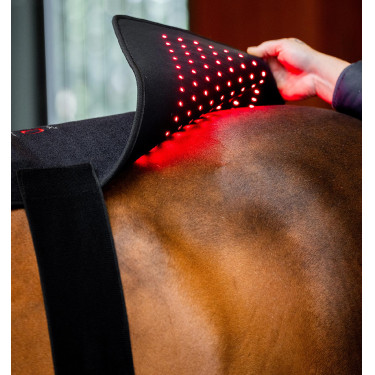 Manta de terapia con luz roja LED Horseware Negro / negro