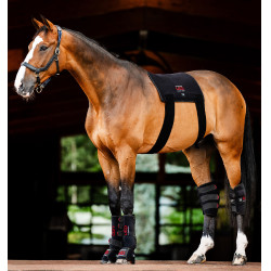 Manta de terapia con luz roja LED Horseware Negro / negro