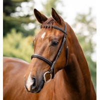Brida Horseware Hunter Marrón / avellana Marr&amp;amp;amp;oacute;n