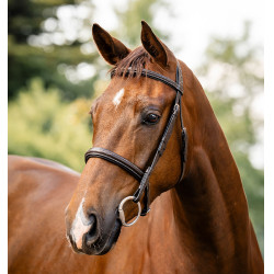 Brida Horseware Hunter Marrón / avellana Marrón Brida Horseware Hunter Marrón / avellana Marrón