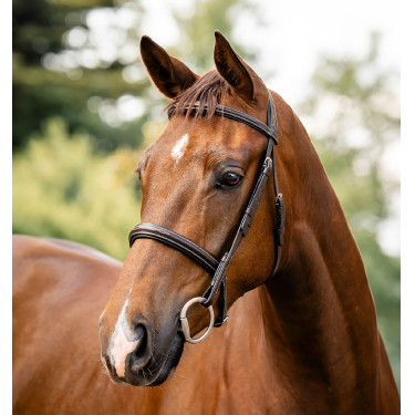 Brida Horseware Hunter Marrón / avellana Marrón Brida Horseware Hunter Marrón / avellana Marrón
