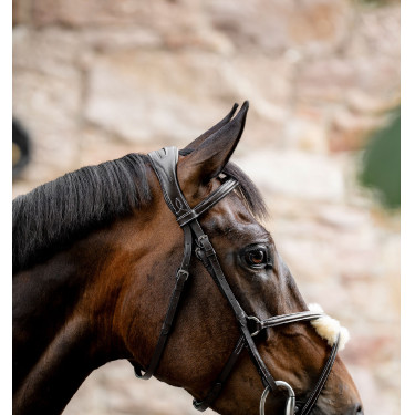 Brida Grackle en forma de 8 Horseware con muserola cruzada Castaño Marr&amp;amp;amp;oacute;n
