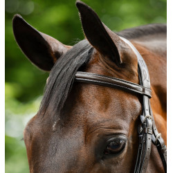 Brida Grackle en forma de 8 Horseware con muserola cruzada Castaño Marr&amp;amp;amp;oacute;n