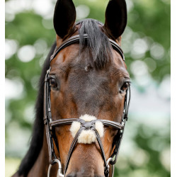 Brida Grackle en forma de 8 Horseware con muserola cruzada Castaño Marr&amp;amp;amp;oacute;n