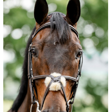 Brida Grackle en forma de 8 Horseware con muserola cruzada Castaño Marr&amp;amp;amp;oacute;n