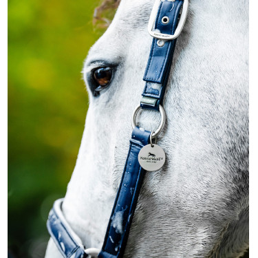 Cabezada de limpieza Horseware Marino Azul marino