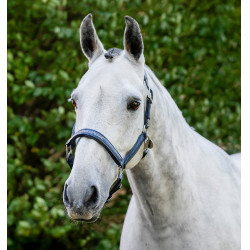 Cabezada de limpieza Horseware Marino Azul marino