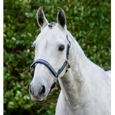 Cabezada de limpieza Horseware Marino Azul marino