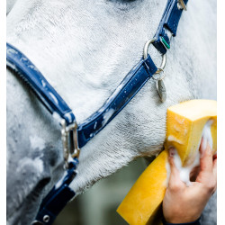 Cabezada de limpieza Horseware Marino Azul marino