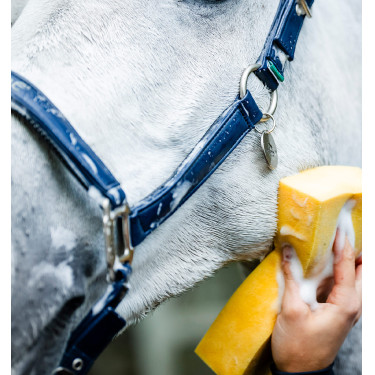 Cabezada de limpieza Horseware Marino Azul marino