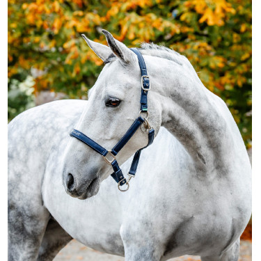 Cabezada de limpieza Horseware Marino Azul marino