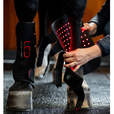 Gueteras de terapia Horseware con luz roja LED Negro / negro Gueteras de terapia Horseware con luz roja LED Negro / negro