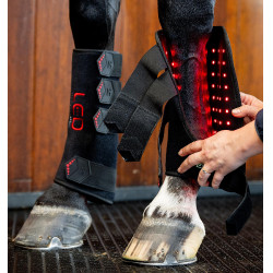 Gueteras de terapia Horseware con luz roja LED Negro / negro Gueteras de terapia Horseware con luz roja LED Negro / negro